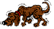 Links